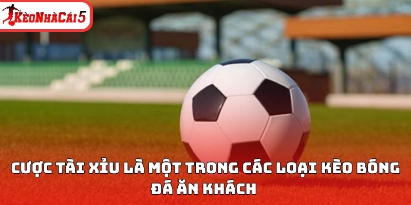 Cược tài xỉu là một trong các loại kèo bóng đá ăn khách 