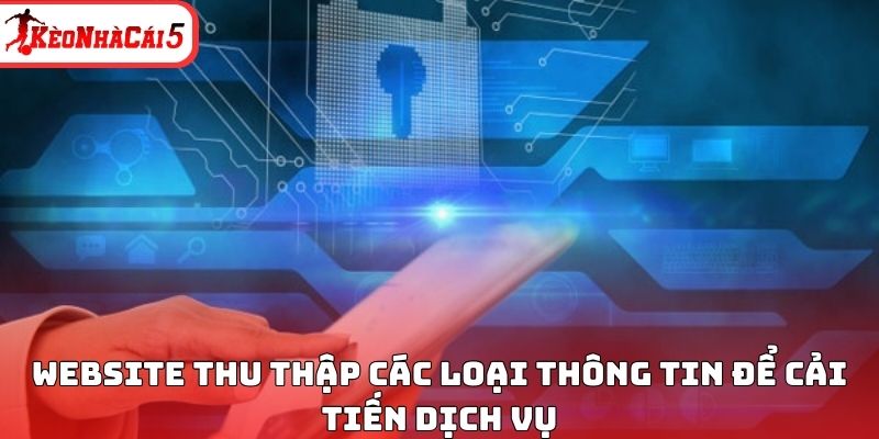 Website thu thập các loại thông tin để cải tiến dịch vụ