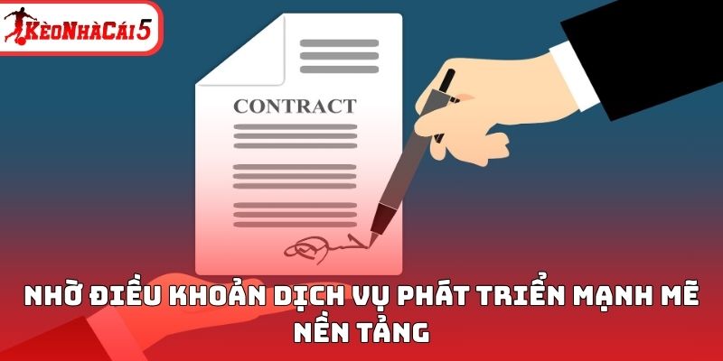 Nhờ điều khoản dịch vụ phát triển mạnh mẽ nền tảng 
