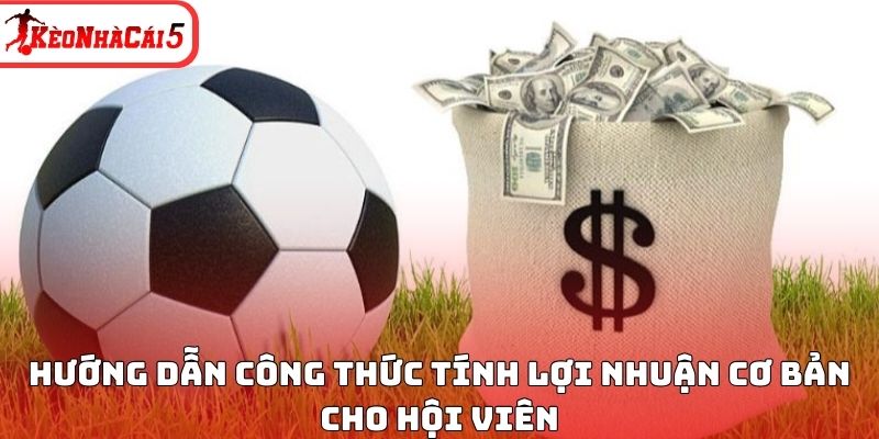 Hướng dẫn công thức tính lợi nhuận cơ bản cho hội viên