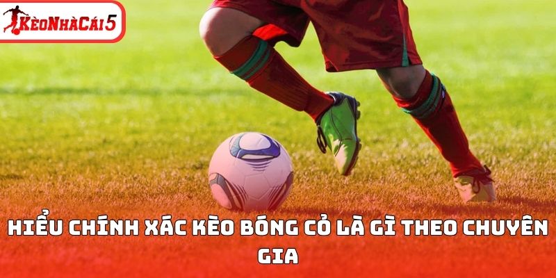 Hiểu chính xác kèo bóng cỏ là gì theo chuyên gia 