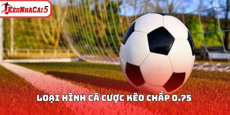 Loại hình cá cược kèo chấp 0.75 