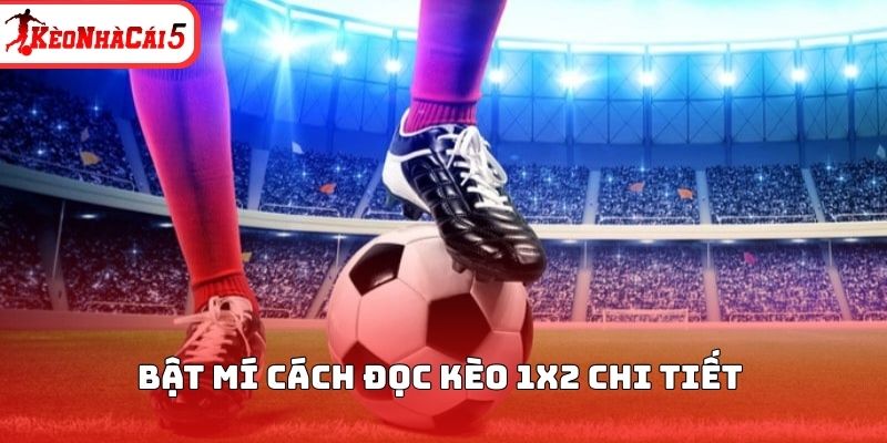 Bật mí cách đọc kèo 1x2 chi tiết