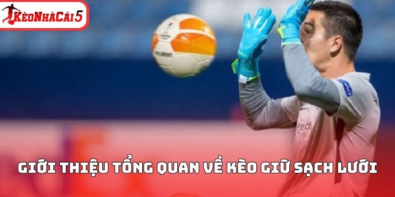 Giới thiệu tổng quan về kèo giữ sạch lưới
