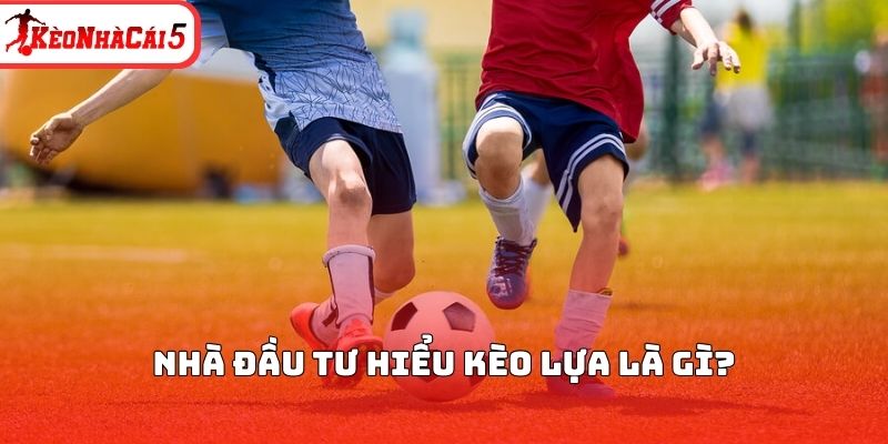 Nhà đầu tư hiểu kèo lựa là gì?