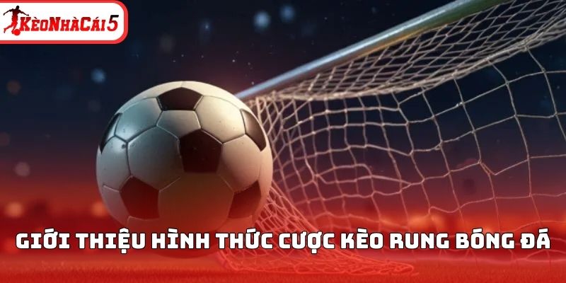 Giới thiệu hình thức cược kèo rung bóng đá