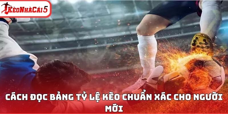 Cách đọc bảng tỷ lệ kèo chuẩn xác cho người mới