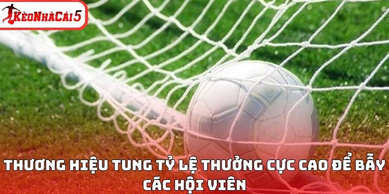Thương hiệu tung tỷ lệ thưởng cực cao để bẫy các hội viên
