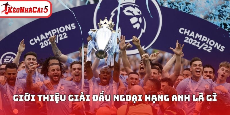 Giới thiệu giải đấu ngoại hạng Anh là gì