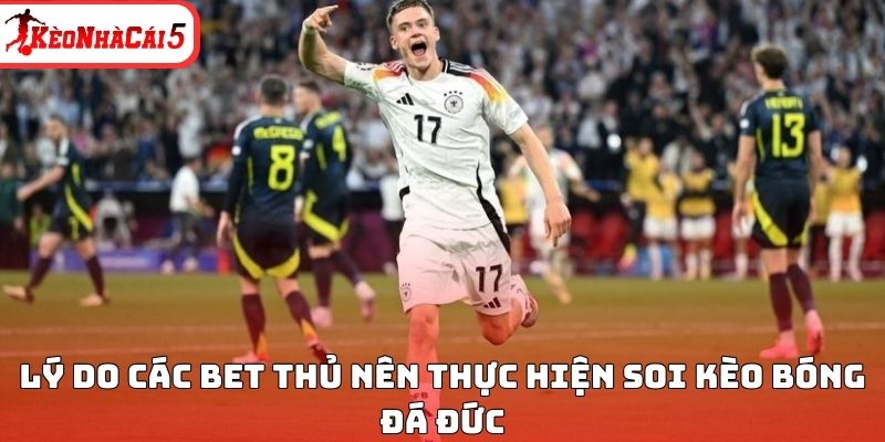 Lý do các bet thủ nên thực hiện soi kèo bóng đá Đức