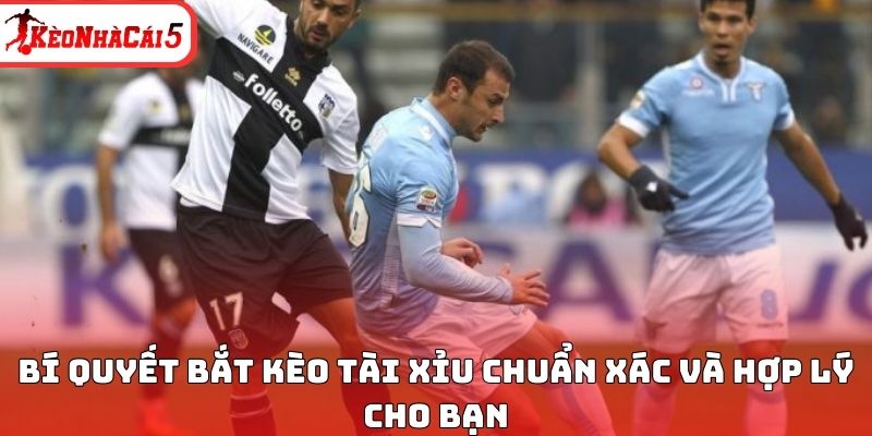 Bí quyết bắt kèo Tài Xỉu chuẩn xác và hợp lý cho bạn