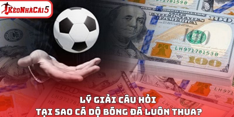 Lý giải câu hỏi tại sao cá dộ bóng đá luôn thua?