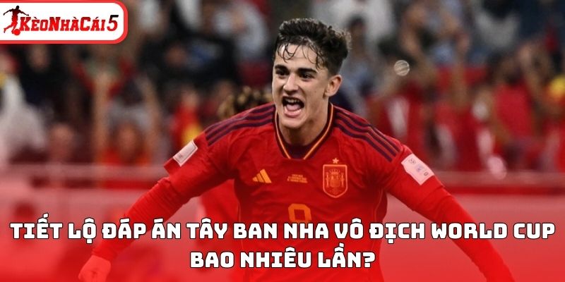Tiết lộ đáp án Tây Ban Nha vô địch World Cup bao nhiêu lần?