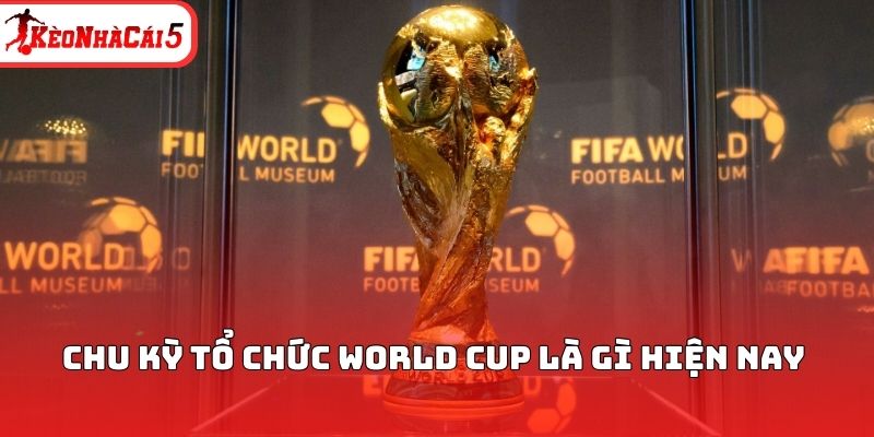 Chu kỳ tổ chức World Cup là gì hiện nay 