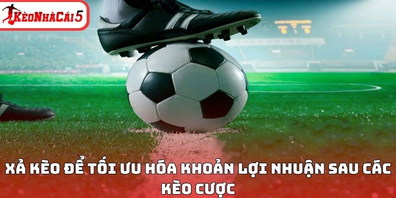 Xả kèo để tối ưu hóa khoản lợi nhuận sau các kèo cược