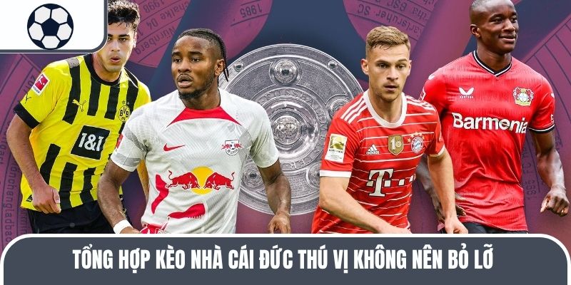 Tổng hợp kèo nhà cái Đức thú vị không nên bỏ lỡ 
