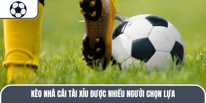 Kèo nhà cái tài xỉu được nhiều người chọn lựa 